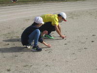 校庭の雑草抜きをしている子供たち