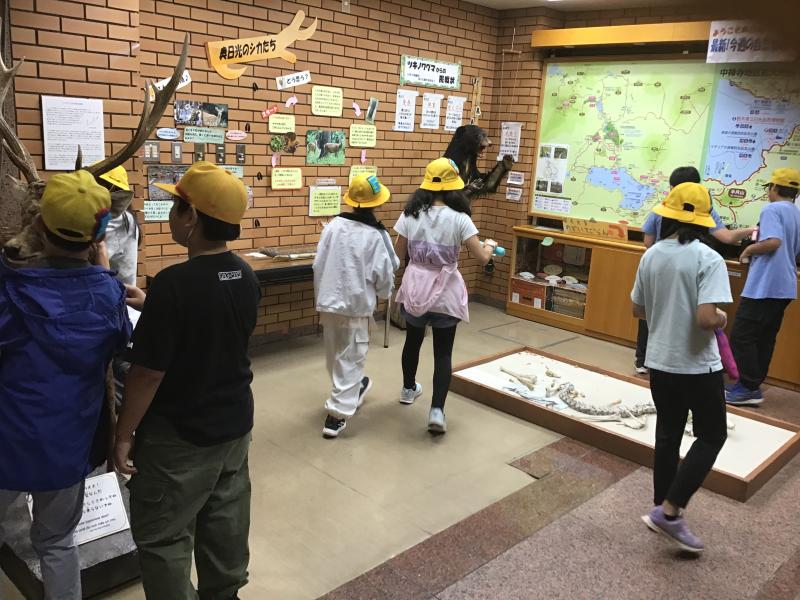 日光の自然について映画を見たり展示物を見たりして楽しく学びました。